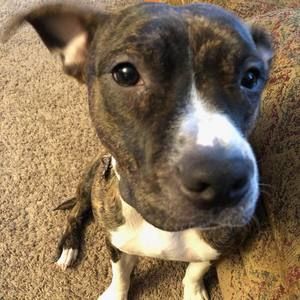 Meet your Posher, Crystal